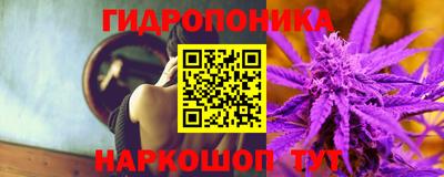 прущие крисы Жуковский