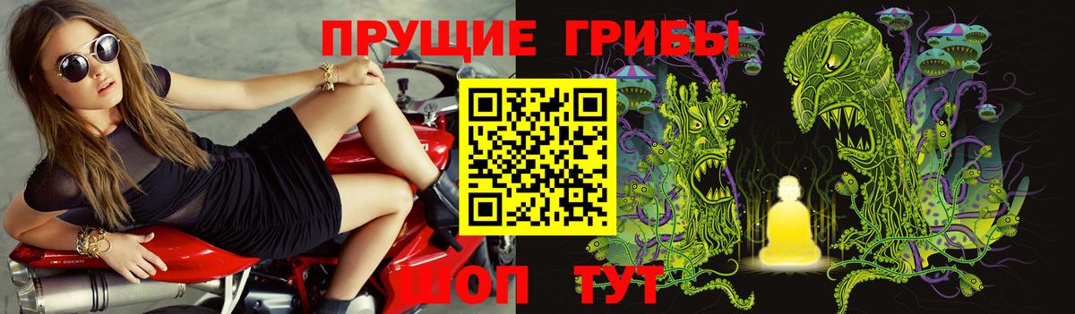 Южноуральск  Галлюциногенные грибы ЛСД  Вход с VPN 